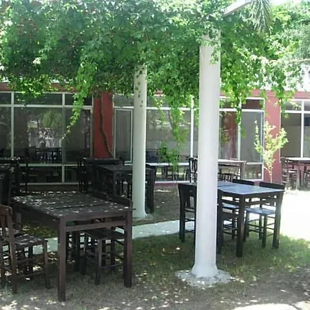 阿拉卡提金度假酒店 酒店