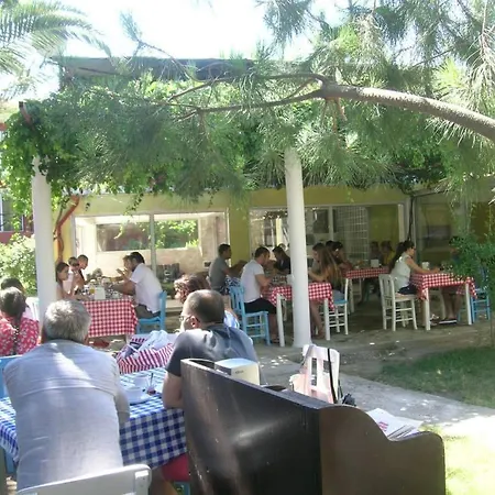 阿拉卡提金度假酒店 酒店 Çeşme
